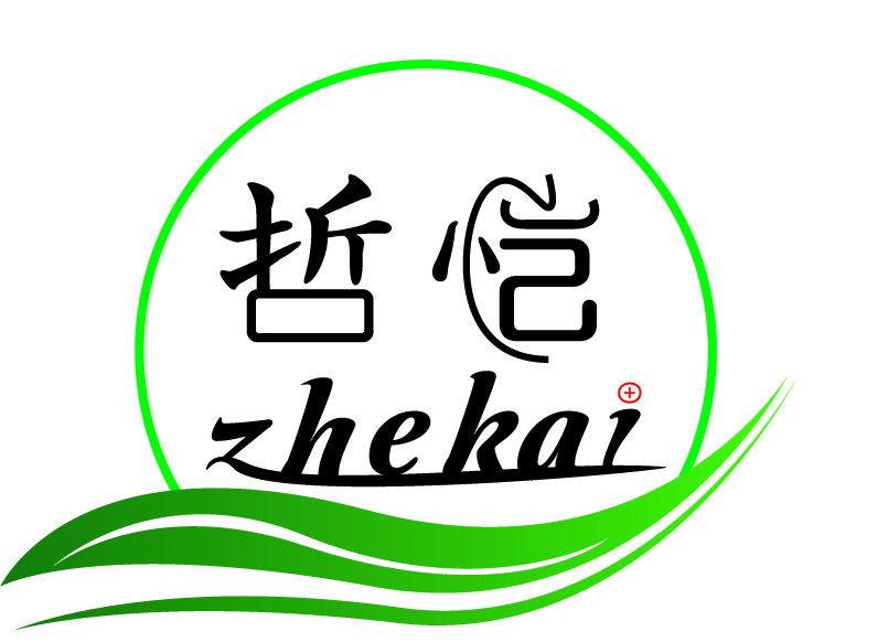 哲恺  (1).jpg